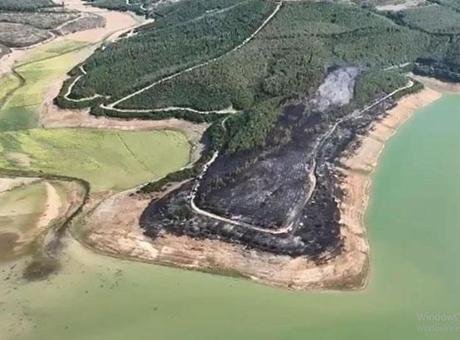 Tekirdağ’da yangında 80 dekar orman zarar gördü Tekirdağ’ın Malkara ilçesine bağlı kırsal Teteköy Mahallesi’nin Soğuksu mevkisinde saat