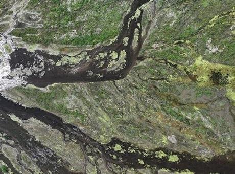 Macaristan basınındaki haberlere göre, Ulusal Su İdaresi, Budapeşte’de su seviyesinin