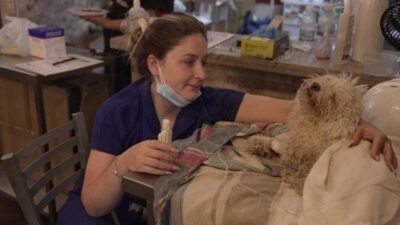 Venezuela’da mucize kurtuluş! Buddy adlı köpek 8 gün sonra enkazdan sağ çıkarıldı Kaynak:CNN TÜRK Venezuela’nın Caraballeda kentinde, depremin ardından umut veren bir