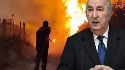 Cezayir Cumhurbaşkanı Abdülmecid Tebbun, ülkede son dönemde yaşanan ve 12