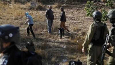 Filistin Kurtuluş Örgütüne (FKÖ) bağlı Ayrım Duvarı ve Yahudi Yerleşim