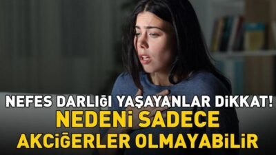 Kaynak:İHA Haberlerimizi Google’da Takip Edin Gelişmelerden anında haberdar olun. Google’da