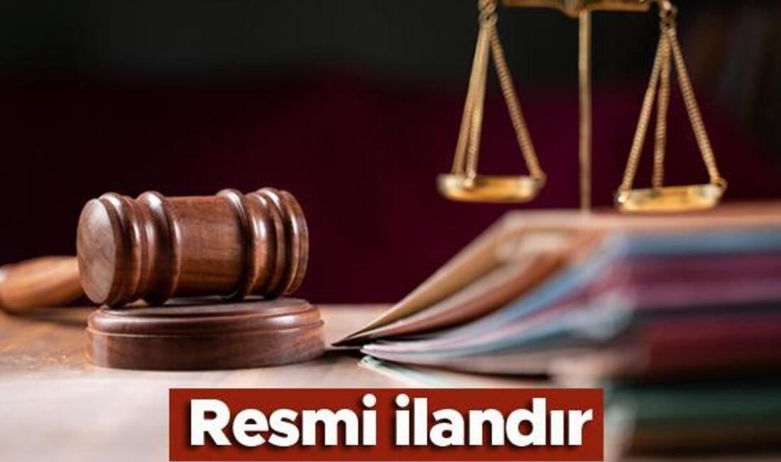 T.C. NUSAYBİN 3. ASLİYE HUKUK MAHKEMESİNDEN ESAS NO :&nbsp;2024/501 Esas