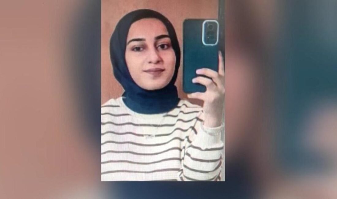 Kaynak:CNN TÜRK JASAT’IN DOSYAYA DAHİL OLMASI İSTENDİ Rojin Kabaiş’in ölümüne