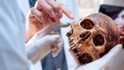 SON DAKİKA HABERLER: Yıllardır kimse fark etmedi! Bilim dünyası şokta: ‘Yeni organ keşfedildi’ İnsan vücudunda keşfedilecek yeni bir şey kalmadığını düşünüyorsanız, bilim dünyasından