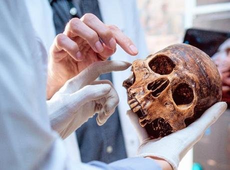 İnsan vücudunda keşfedilecek yeni bir şey kalmadığını düşünüyorsanız, bilim dünyasından