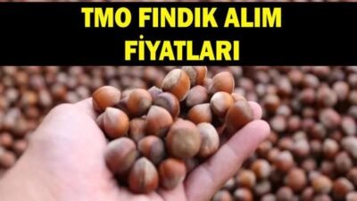 TMO FINDIK FİYATI AĞUSTOS 2026: Fındık alım fiyatları ne kadar oldu? Giresun, levant kalite fındık alım fiyatı kaç TL oldu? Kaynak:Cnnturk.com Haberlerimizi Google’da Takip Edin Gelişmelerden anında haberdar olun. Google’da