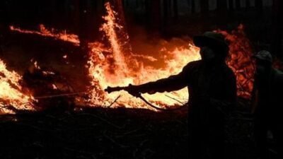 Tarım ve Orman Bakanı İbrahim Yumaklı, Antalya’nın Alanya ilçesindeki ve