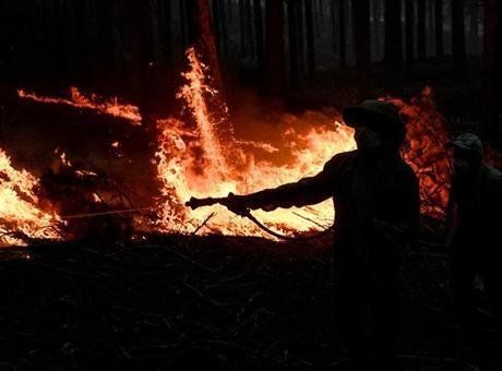 Tarım ve Orman Bakanı İbrahim Yumaklı, Antalya’nın Alanya ilçesindeki ve