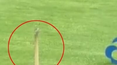 Görüntüler Çin’de kayda geçti.Alınan bilgiye göre, bir golf oyuncusu sahada
