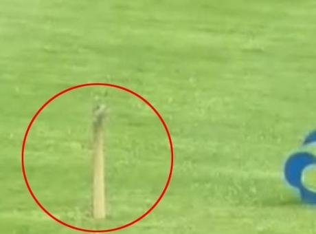 Görüntüler Çin’de kayda geçti.Alınan bilgiye göre, bir golf oyuncusu sahada