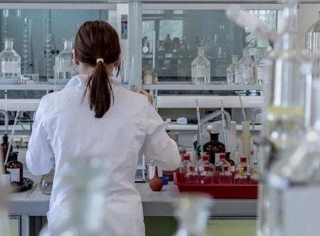 Avustralya’da “H5N1” türü kuş gribi vakasının ilk kez bir deniz