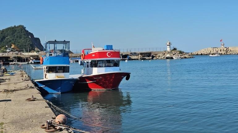 Kaynak DHA Av yasağının kalkmasıyla Zonguldak’ta ‘vira bismillah’ diyen balıkçılar,