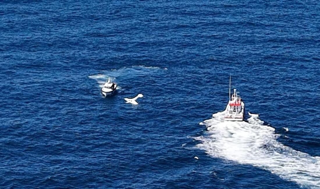 Gürcistan’dan havalanan ve içerisinde 2 kişinin bulunduğu belirtilen uçak, Rize’nin