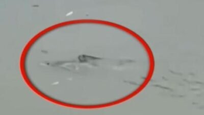Alınan bilgiye göre, eyalette etkili olan şiddetli fırtına hayatı olumsuz