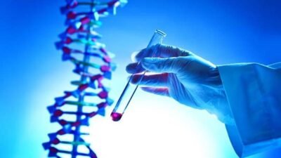 Tekrarlayan Gebelik Kayıpları İnfertiliteyle ilişkili mi? Tekrarlayan gebelik kayıpları ile infertilite aynı durumu ifade etmese de