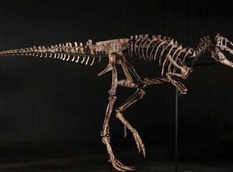 ABD’nin Montana eyaletinde bulunan ve yeni bir türe ait olduğu