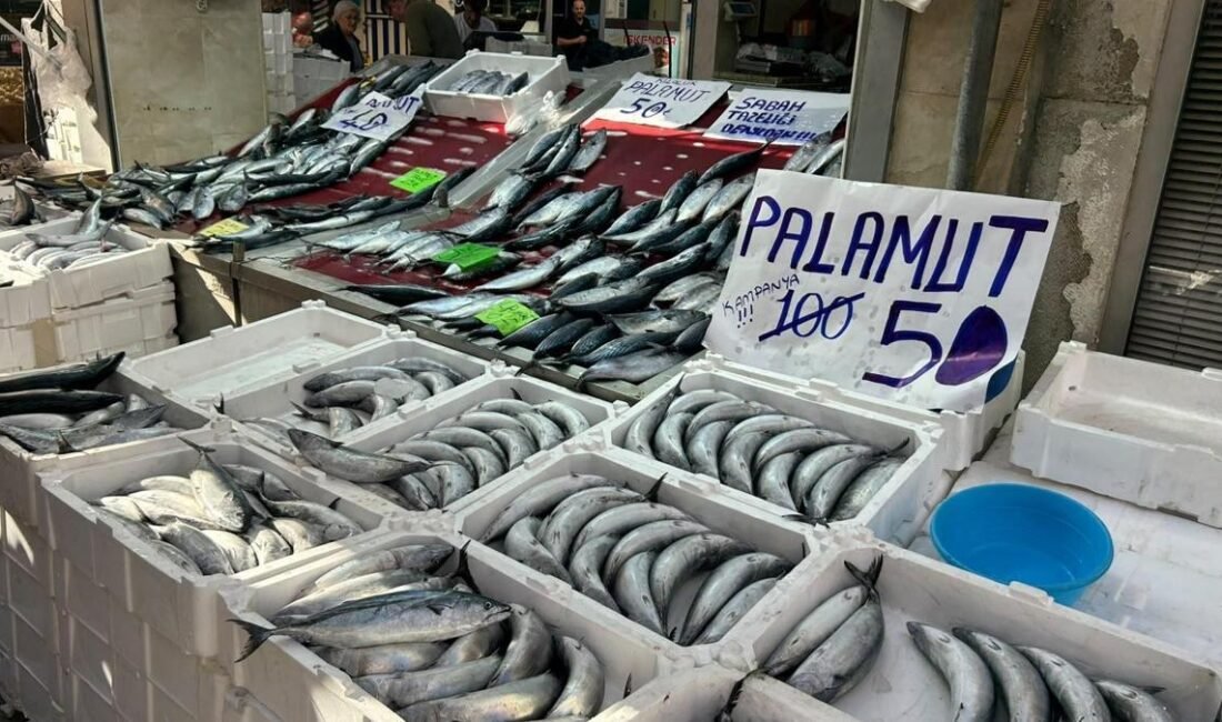 Paylaş Kastamonu’nun İnebolu ilçesinde yaşanan palamut bolluğu balık tezgahlarına yansıdı.