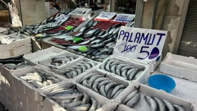 Paylaş Kastamonu’nun İnebolu ilçesinde yaşanan palamut bolluğu balık tezgahlarına yansıdı.