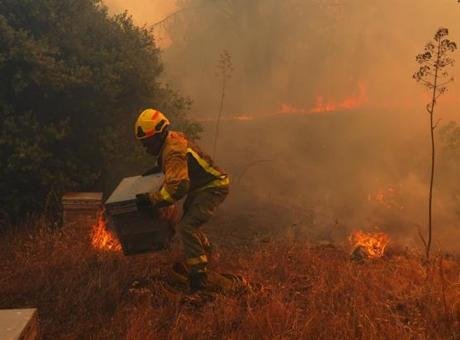 Japonya Meteoroloji Ajansı’na (JMA) göre, izlediği Pasifik Okyanusu bölgesindeki deniz
