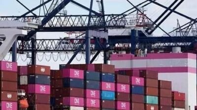 Hint basınındaki haberlere göre, Goyal, başkent Yeni Delhi’de katıldığı etkinlikte