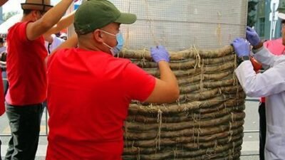 Kutlamalar kapsamında özel bir şirket tarafından at eti ve at