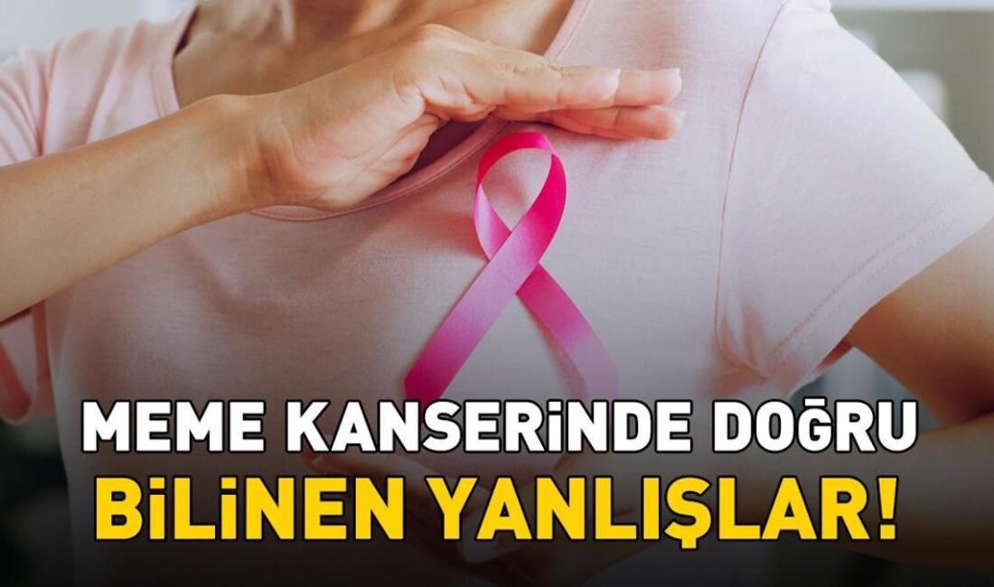 Kaynak İHA Uzman isimler meme kanserinde erken tanının hayat kurtardığını